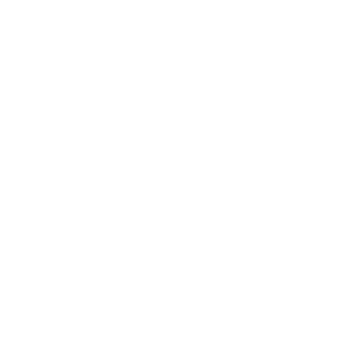 DG Inspector logo