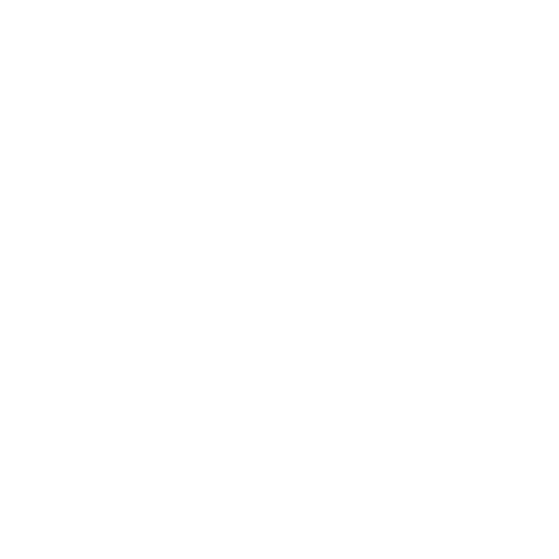 SkanChef logo